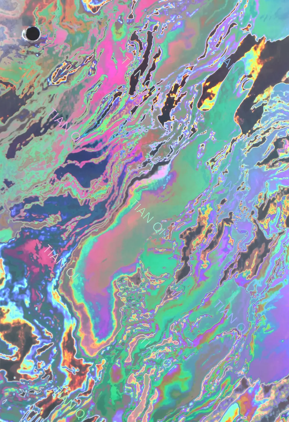 纹样 295
