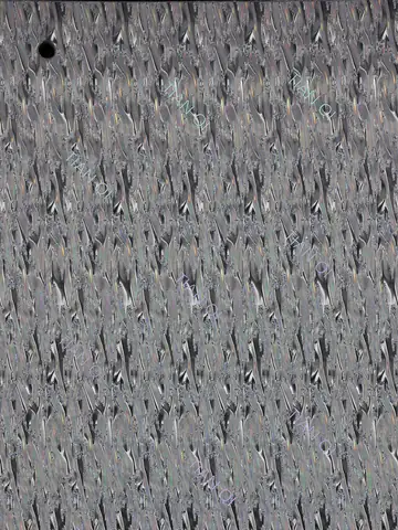 纹样 169