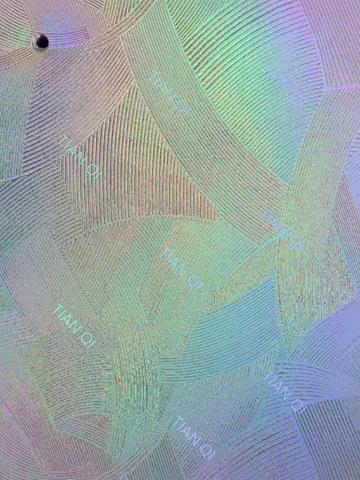 纹样 205