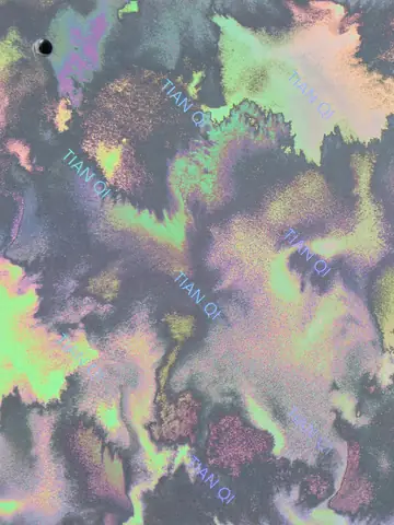 纹样 206
