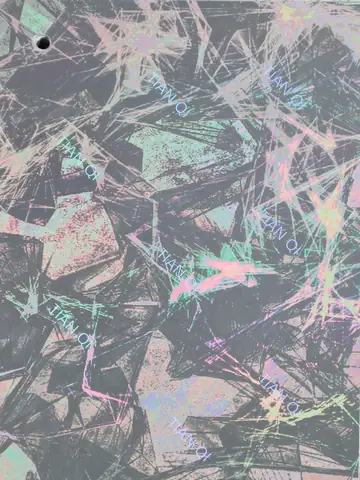 纹样 209