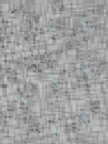 纹样 211