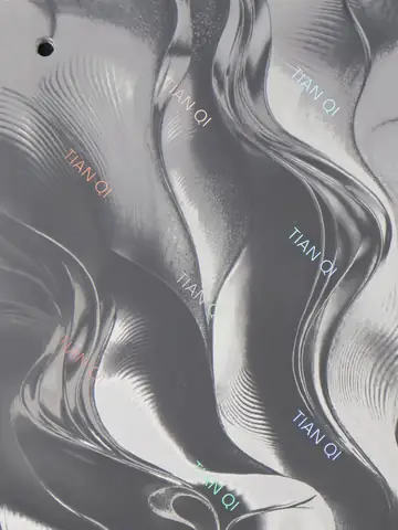 纹样 269